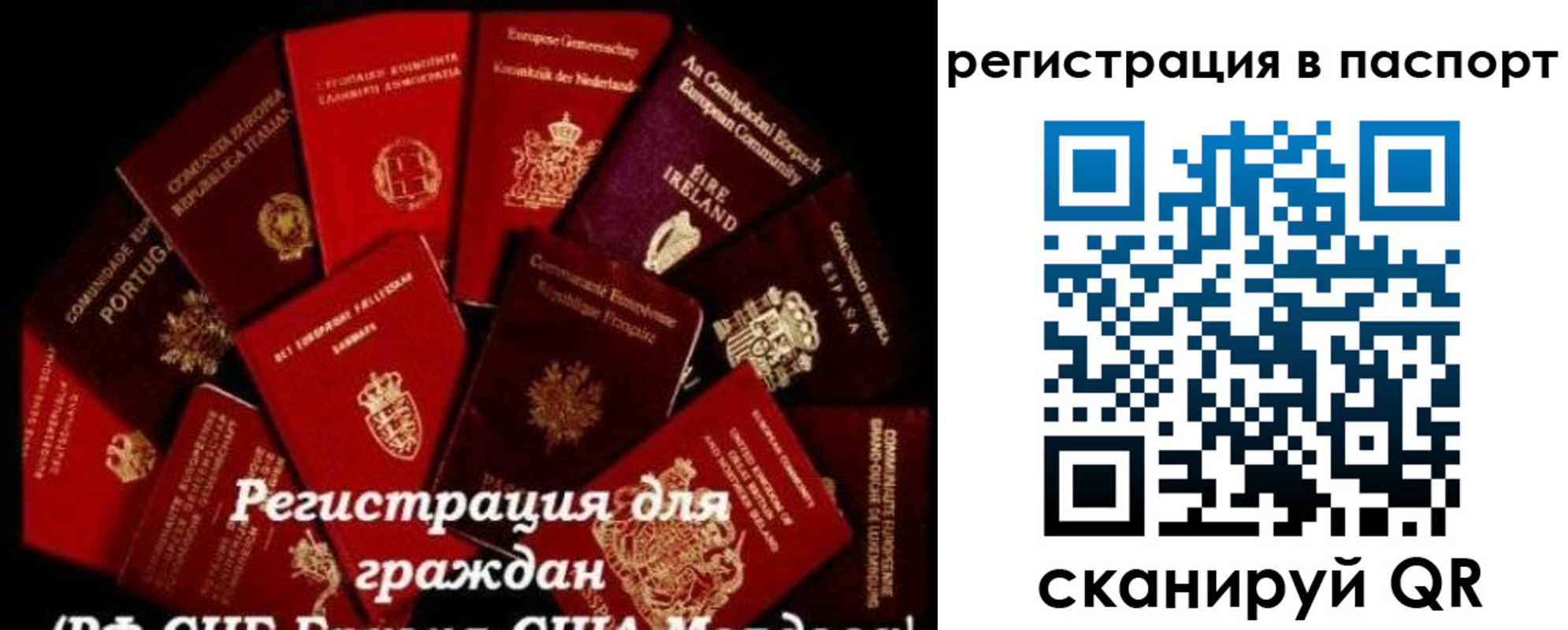 миграционный учет в Кукморе